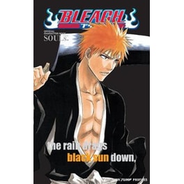 Bleach SOULs. Official Character Book