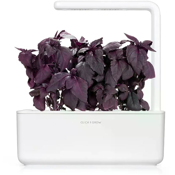 Κάψουλες Click and Grow 3 Τμχ - Κόκκινος Βασιλικός image 3