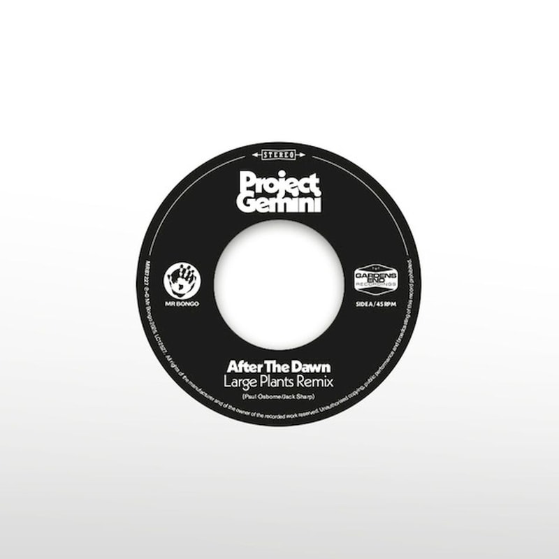 After The Dawn (Large Plants Remix) (LP 7)