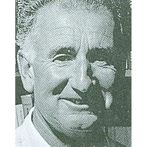 Μανιτάρια image 1