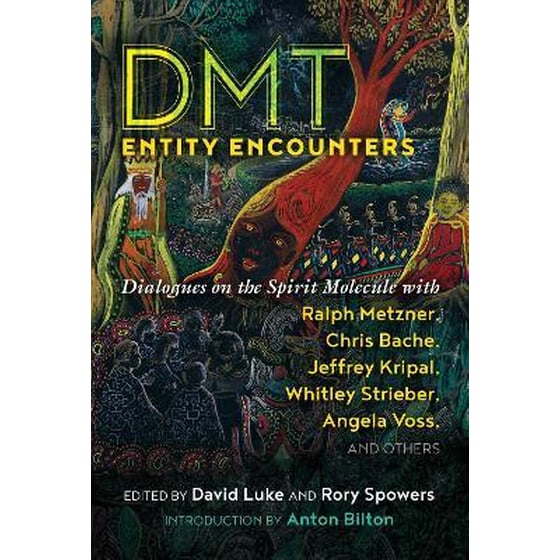 DMT Entity Encounters image 0