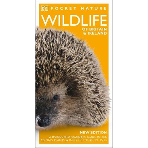 Pocket Nature Wildlife of Britain and Ireland image 0