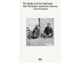 Snake and the Lightning image 0