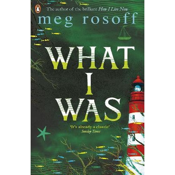 What I Was image 0