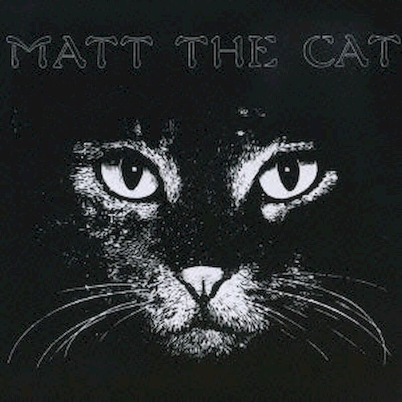Matt The Cat