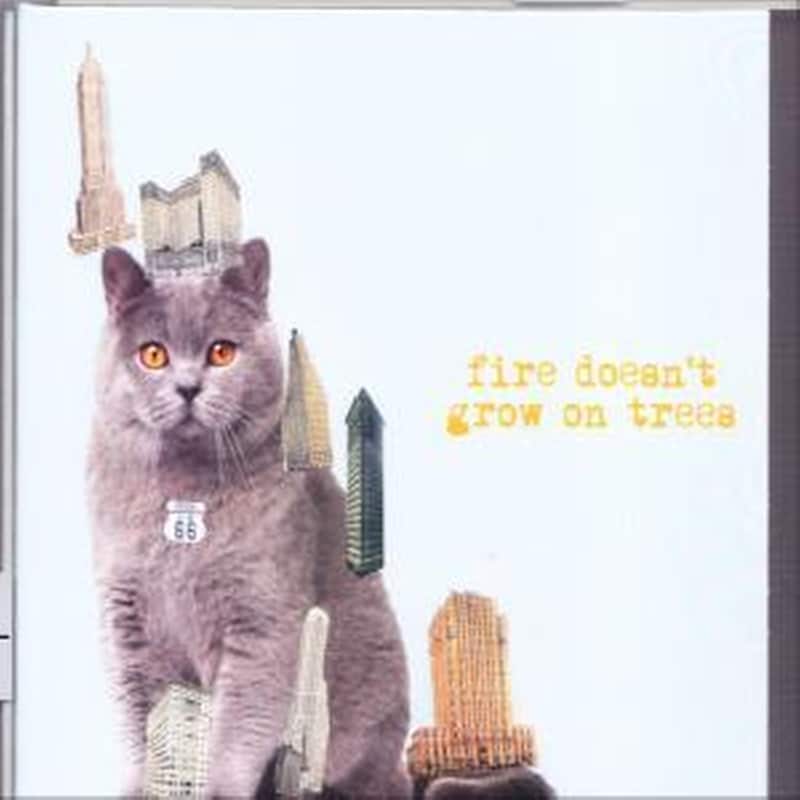 Fire Doesnt Grow On Trees