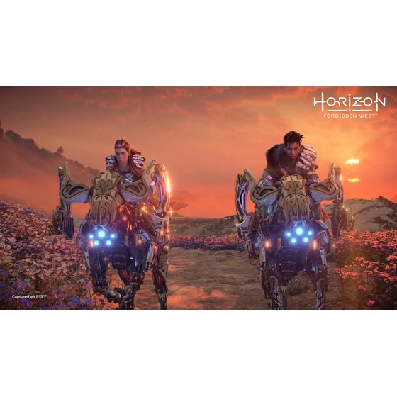 Horizon Forbidden West Collector's Edition - PS5 image 4
