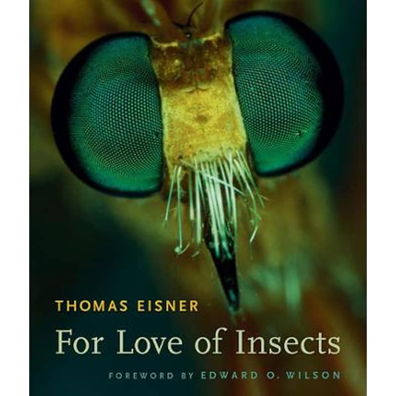For Love of Insects