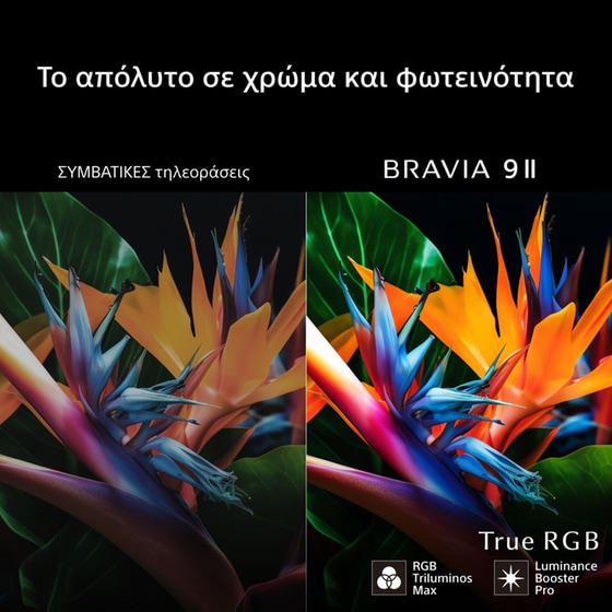 Sony BRAVIA 9Ⅱ True RGB 65 Inch 4K Smart TV (Google TV), RGB LED, XR Processor with AI Technology, 65XR95M2 (2026) image 21