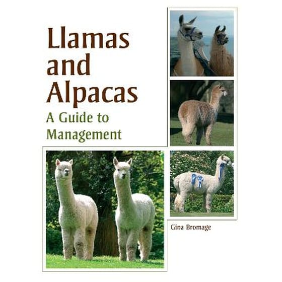 Llamas and Alpacas image 0