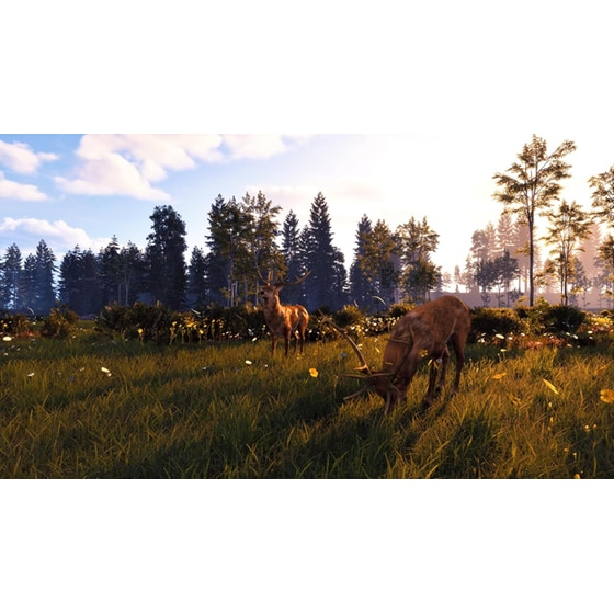 Windstorm: Start of a Great Friendship Remastered - PS5 image 4