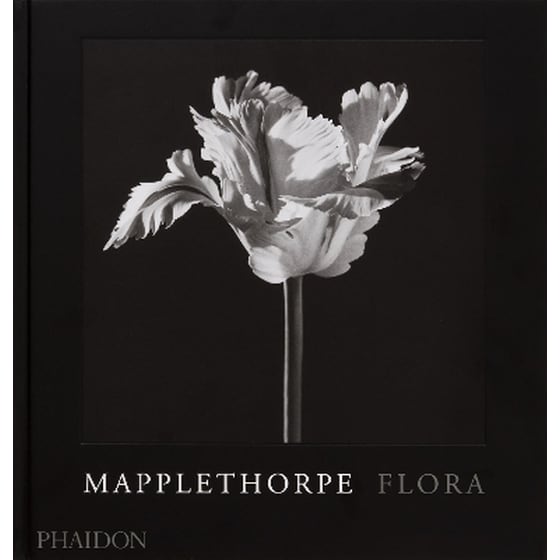 Mapplethorpe Flora image 0