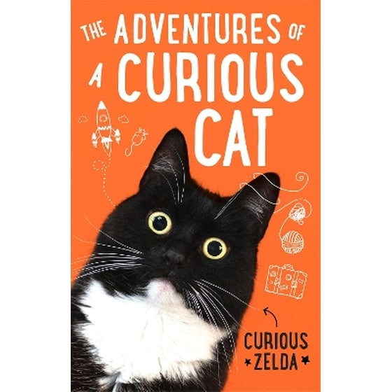 The Adventures of a Curious Cat image 0