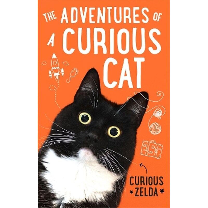 The Adventures of a Curious Cat