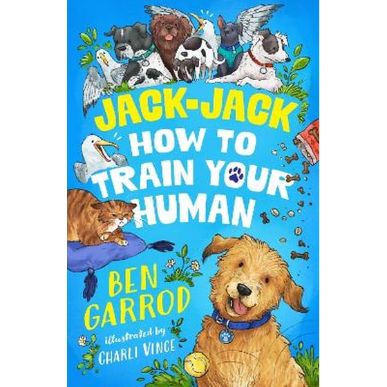 Jack-Jack, How to Train Your Human image 0
