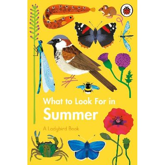 What to Look For in Summer image 0
