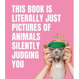 This Book is Literally Just Pictures of Animals Silently Judging You