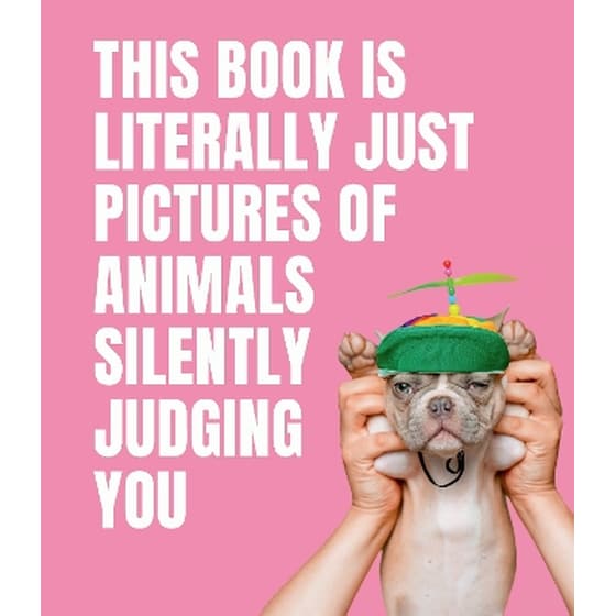 This Book is Literally Just Pictures of Animals Silently Judging You image 0