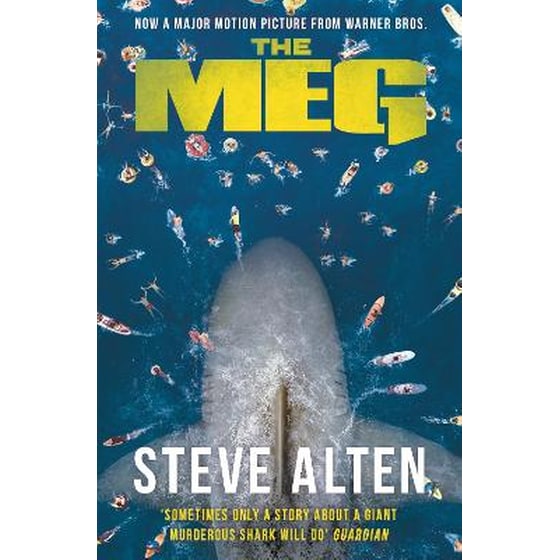 The MEG image 0