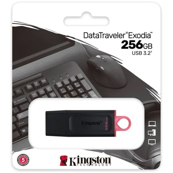 Kingston DataTraveler 256GB USB 3.2 - Μαύρο image 2