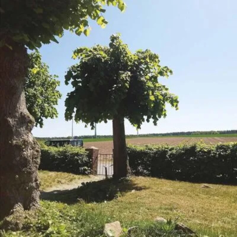 Into The Second Half