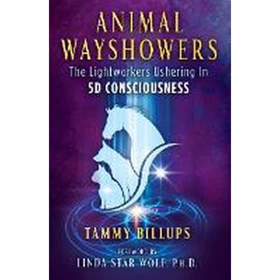 Animal Wayshowers image 0