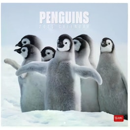 Ημερολόγιο Τοίχου Legami 2025 Penguins 30x29 cm
