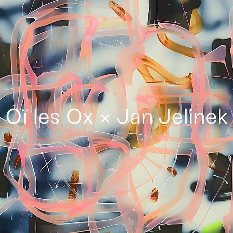Oi Les Ox x Jan Jelinek (LP 12)