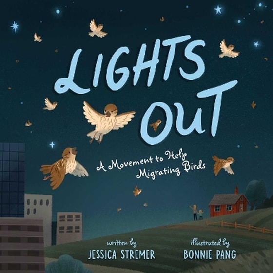 Lights Out image 0