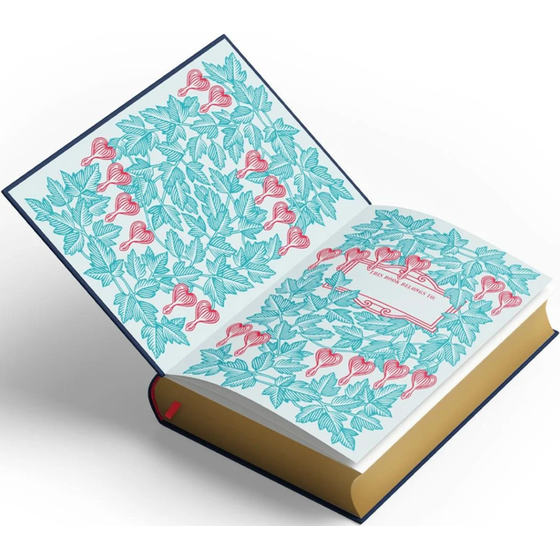 New Moon Deluxe Collector's Edition image 5