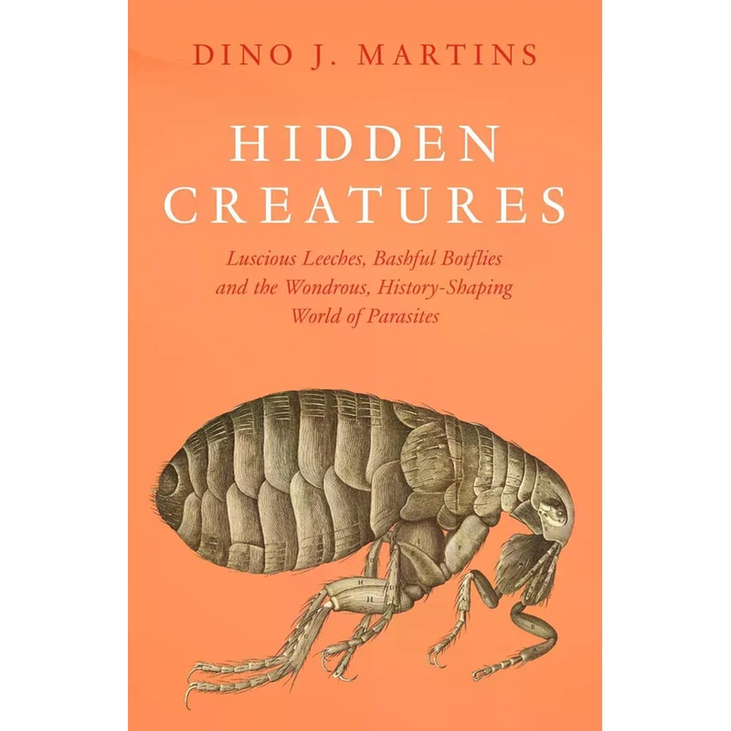 Hidden Creatures