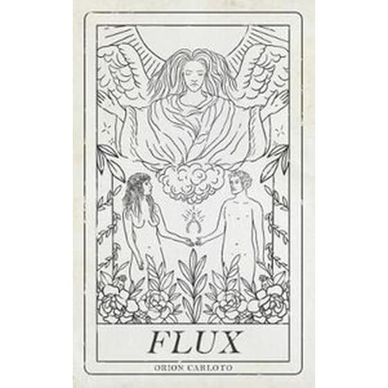 Flux image 0