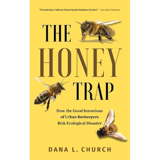 the-honey-trap-dana-church-public