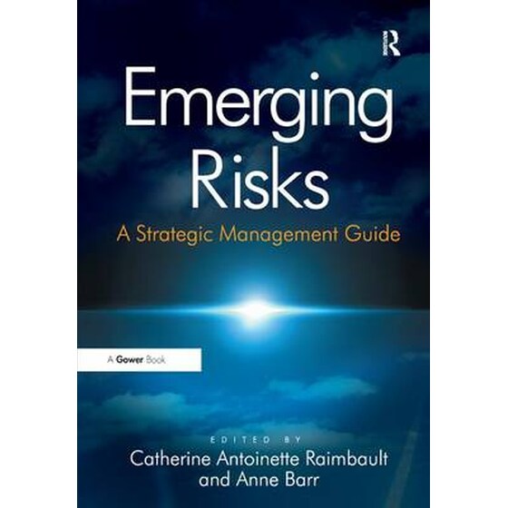 Emerging Risks image 0