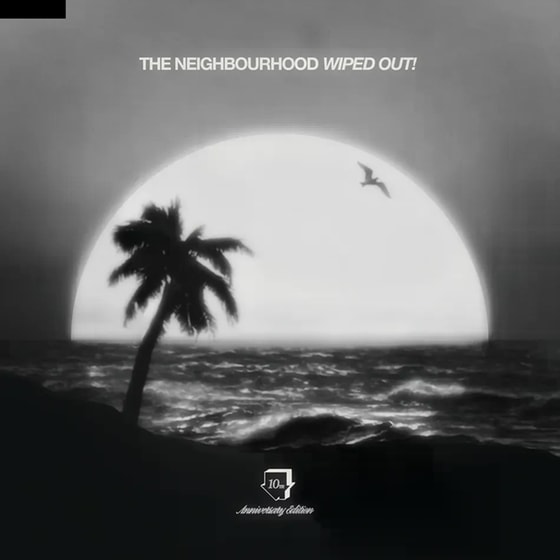 Wiped Out! 10th Anniversary (2LP) image 0