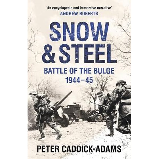 Snow and Steel image 0