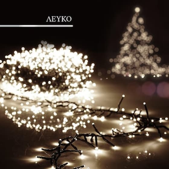 1000 Led Λευκά Χριστουγεννιάτικα Λαμπάκια Με Πρόγραμμα 3mm image 0