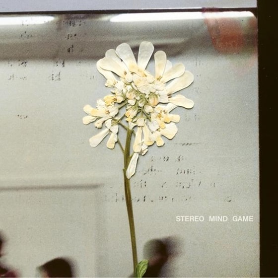 Stereo Mind Game image 1