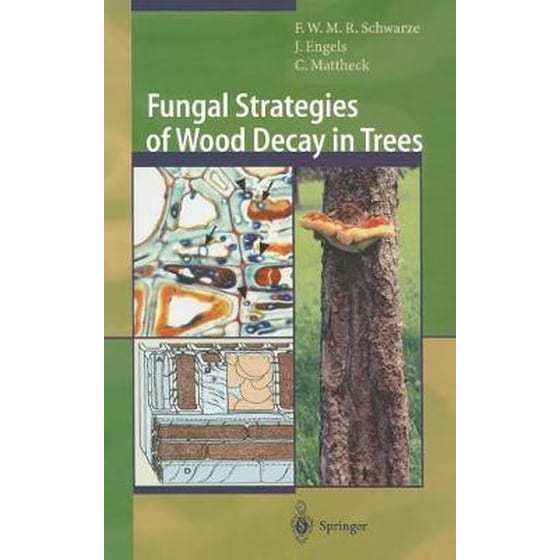 Fungal Strategies of Wood Decay in Trees image 0