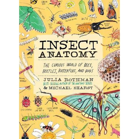 Insect Anatomy image 0