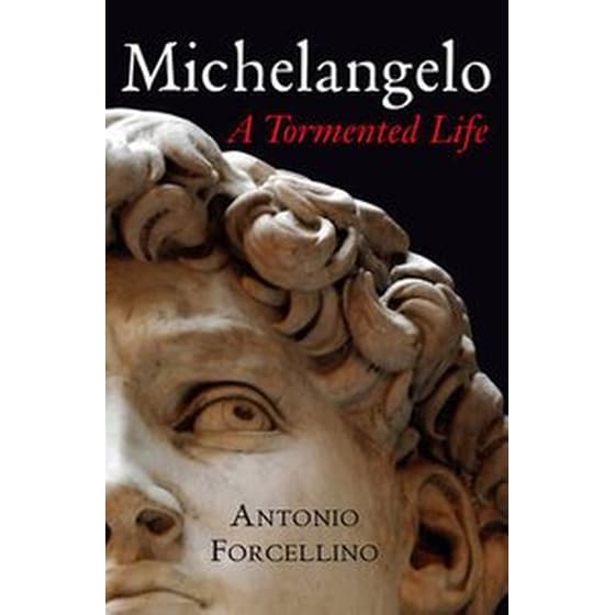 Michaelangelo image 0