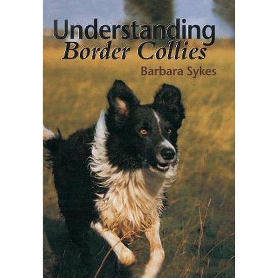 Understanding Border Collies image 0
