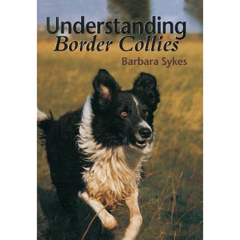 Understanding Border Collies