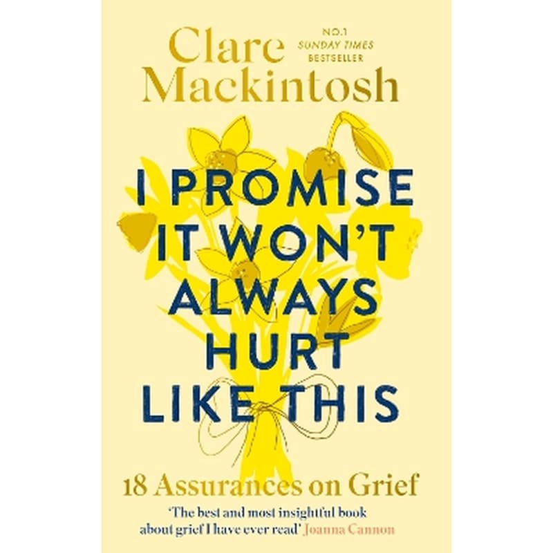 I Promise It Wont Always Hurt Like This