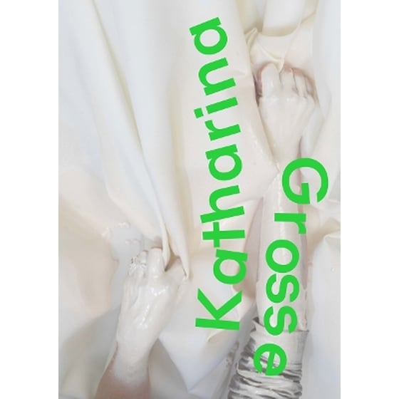 Katharina Grosse image 0