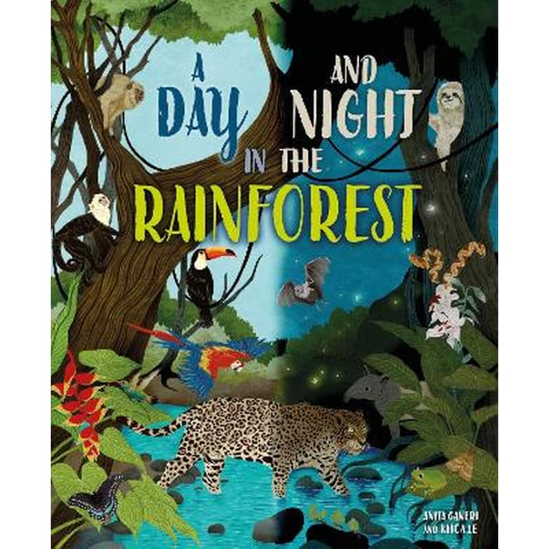 A day and night: in a rainforest