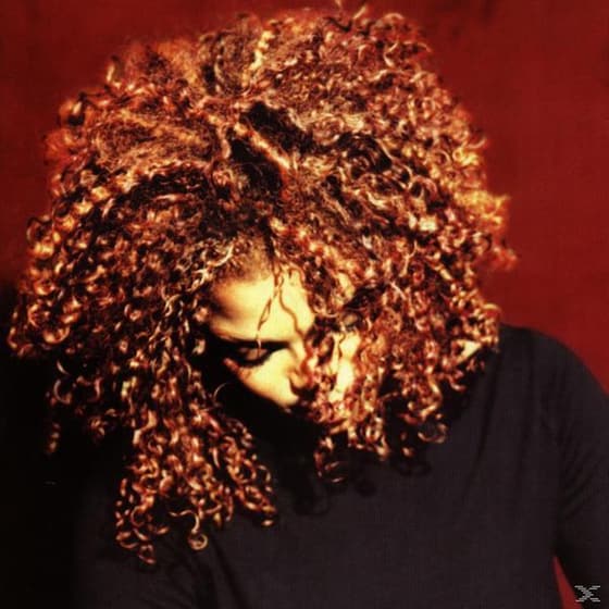 The Velvet Rope image 0