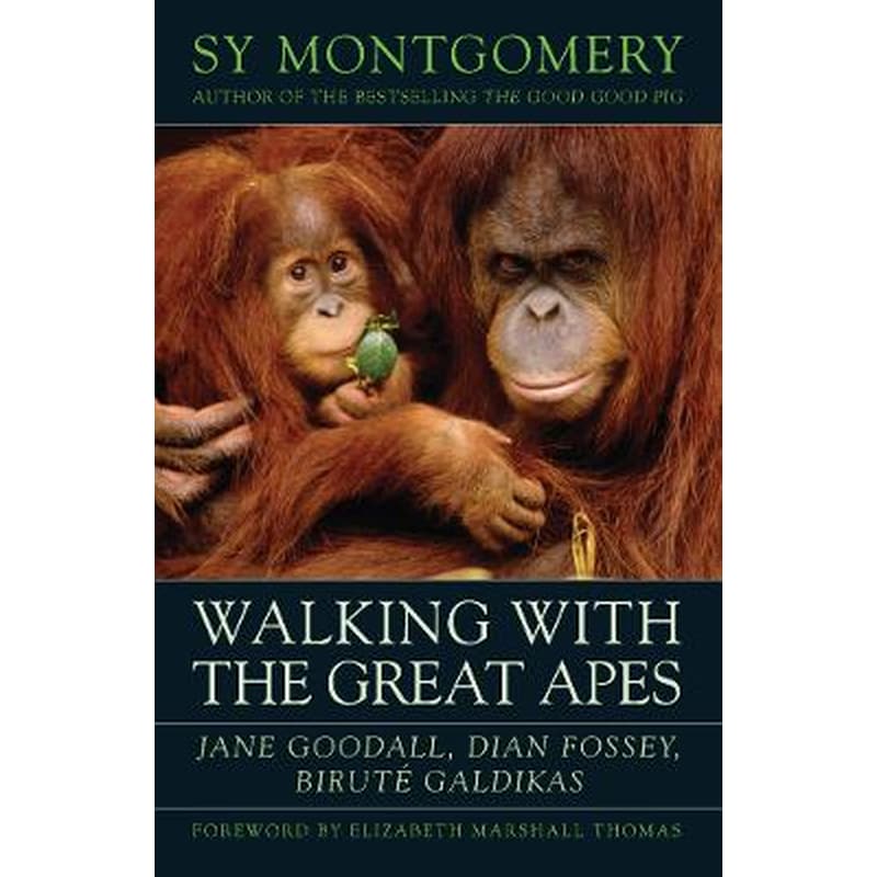 Walking with the Great Apes