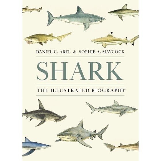 Shark image 0