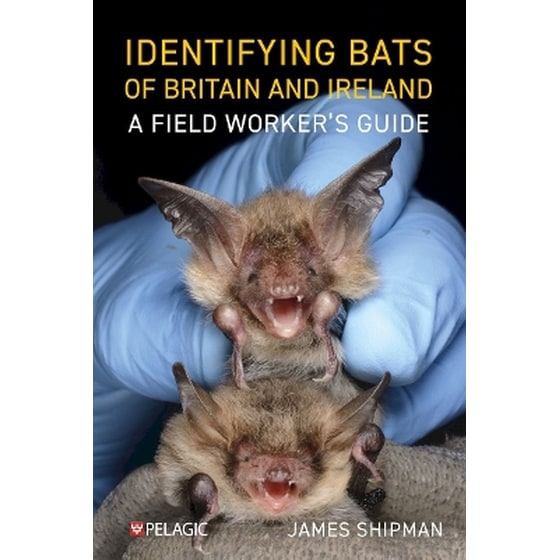 Identifying Bats of Britain and Ireland image 0